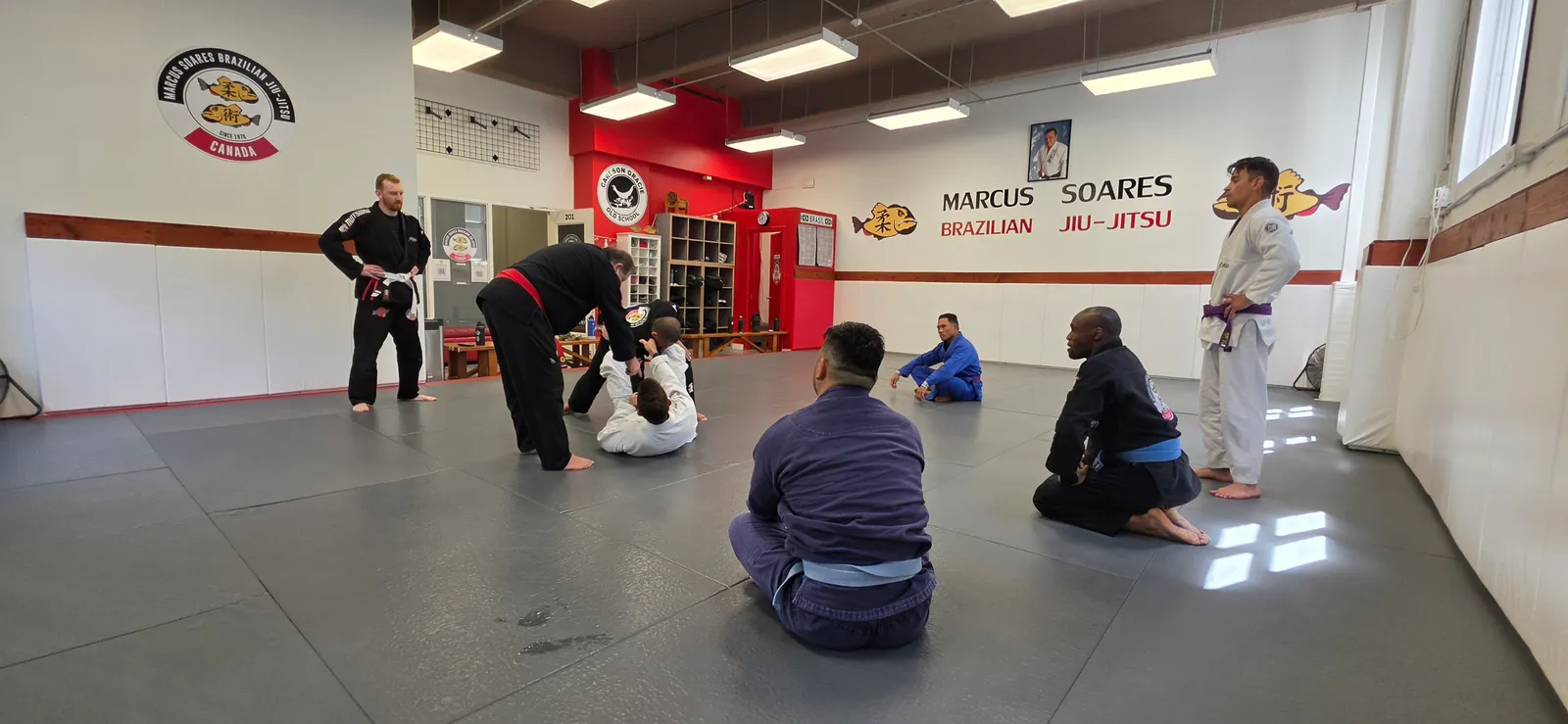 Adult BJJ