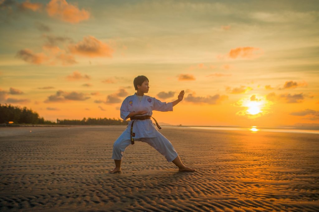 Brazilian Jiu-Jitsu Martial Arts